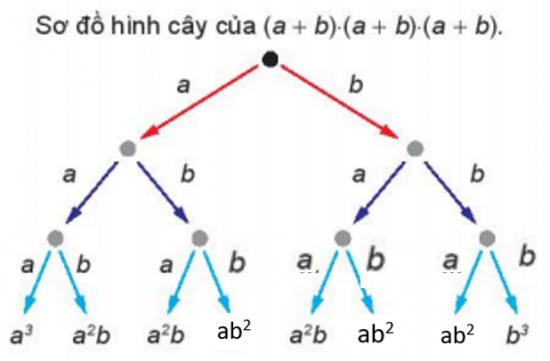 Giải bài 25 Nhị thức Newton