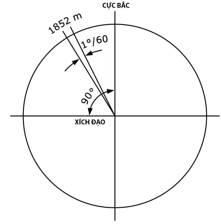 Foto-2-768x778.png copy