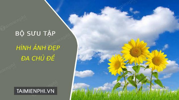 hinh anh dep