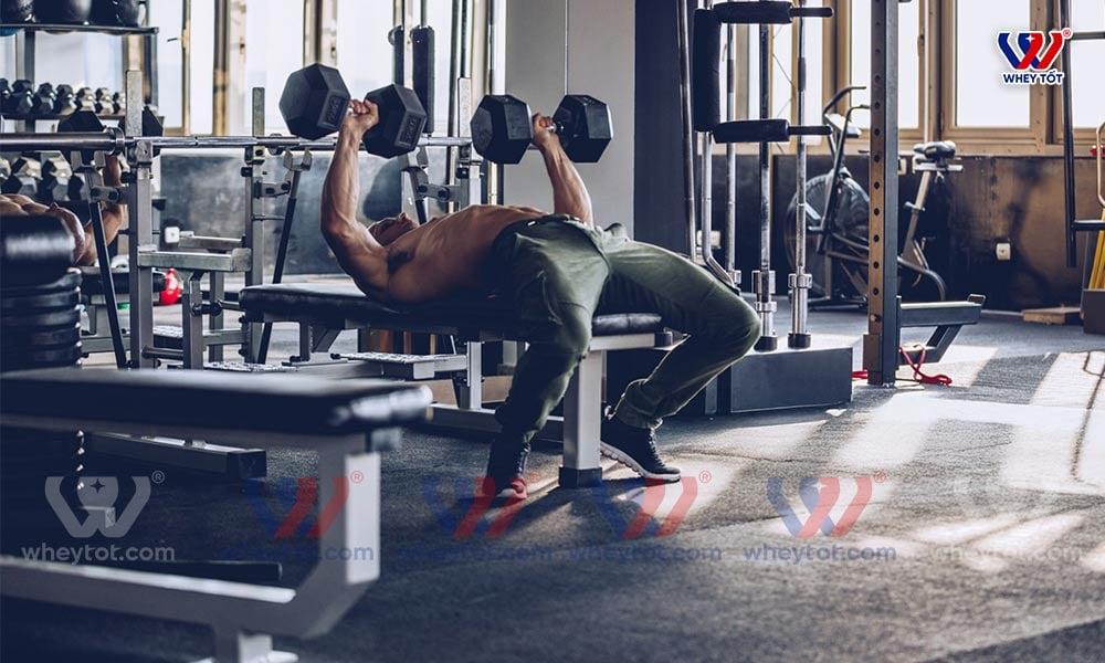 Đẩy ngực với tạ đơn - Dumbbell Bench Press