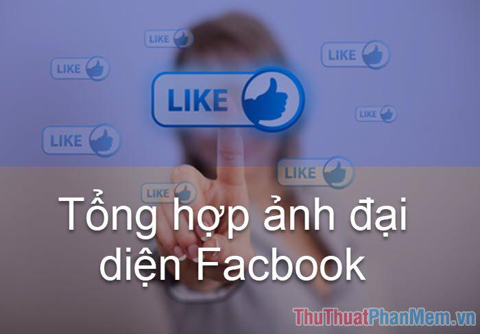 anh meo like 1 jpg
