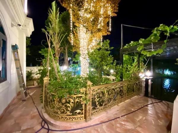 Cách trang trí đèn LED trang trí cây cho quán cafe