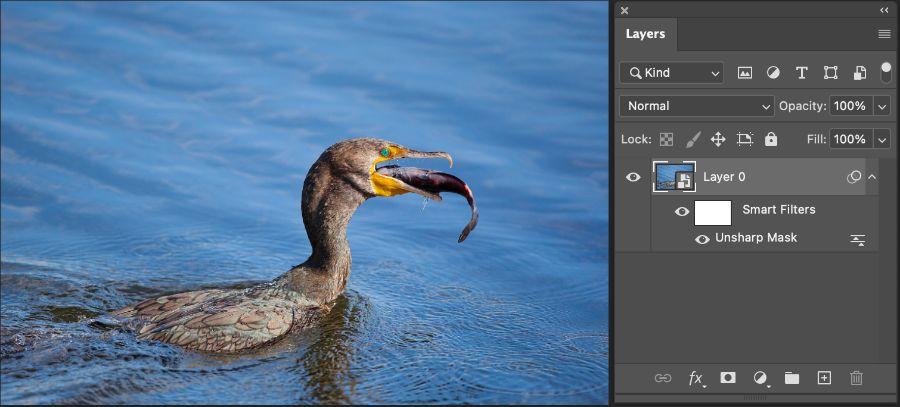 Các bài học Photoshop cơ bản - Layer