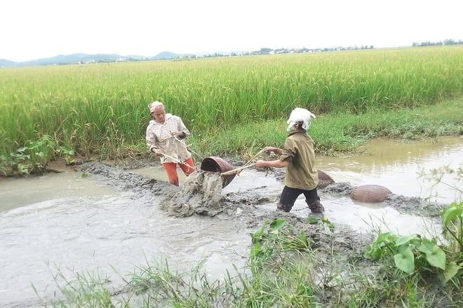 Sự phân biệt giữa cách viết 'dì' và 'gì' trong tiếng Việt