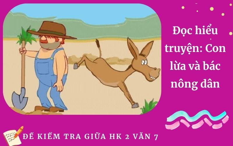 Đọc hiểu truyện: Con lừa và bác nông dân