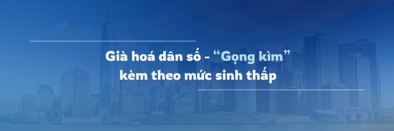 dong con hon nhieu cua jpg