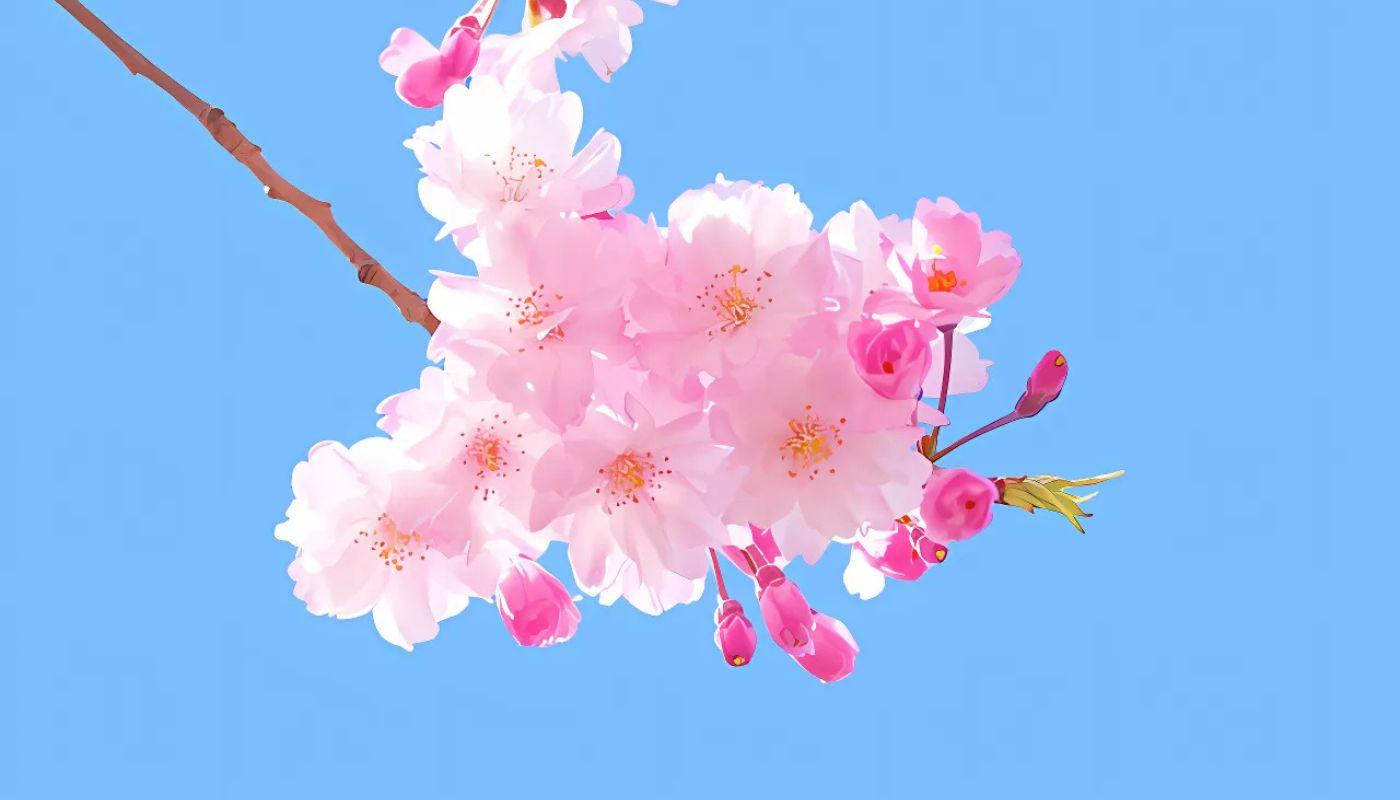 Hình nền hoa Đào cho máy tính