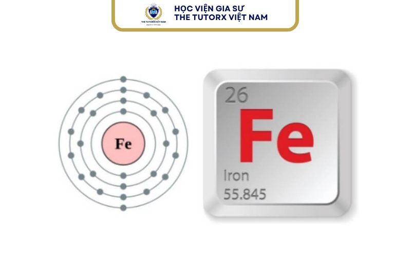 Fe hóa trị 3 khi nào?