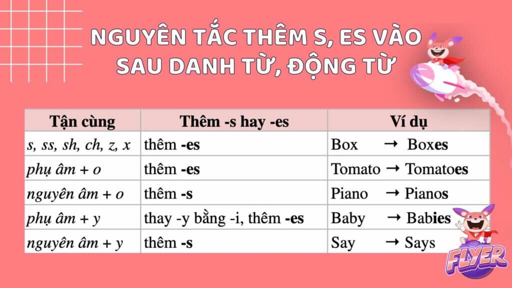 Quy tắc thêm s, es vào sau động từ, danh từ