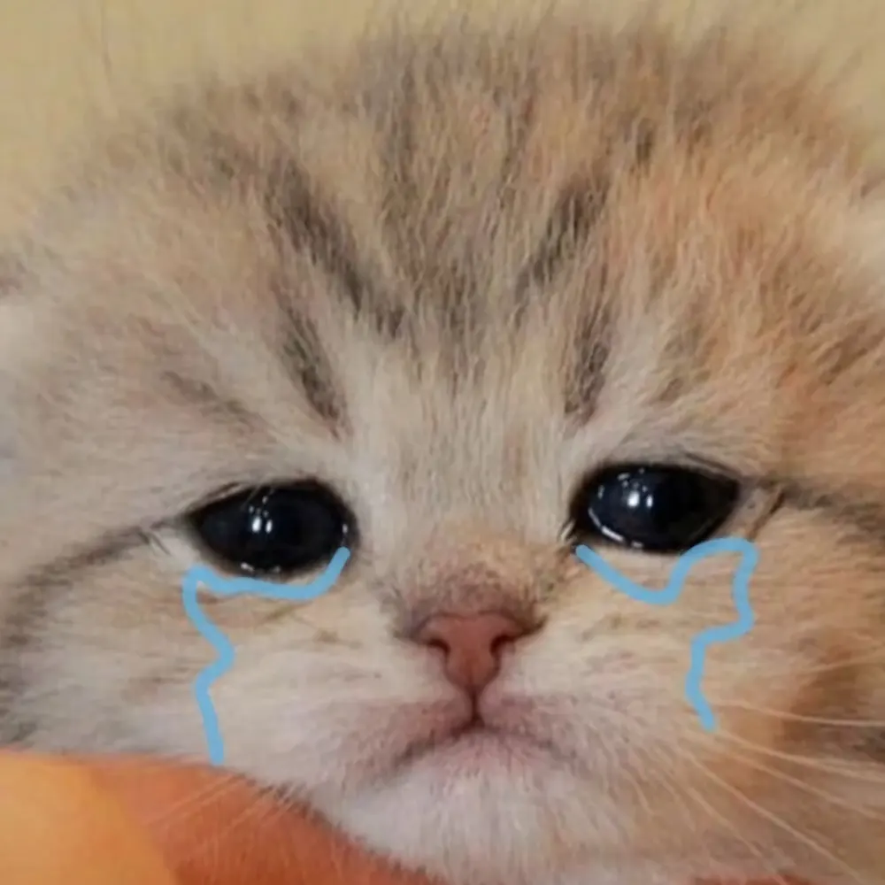 meme ech khoc webp