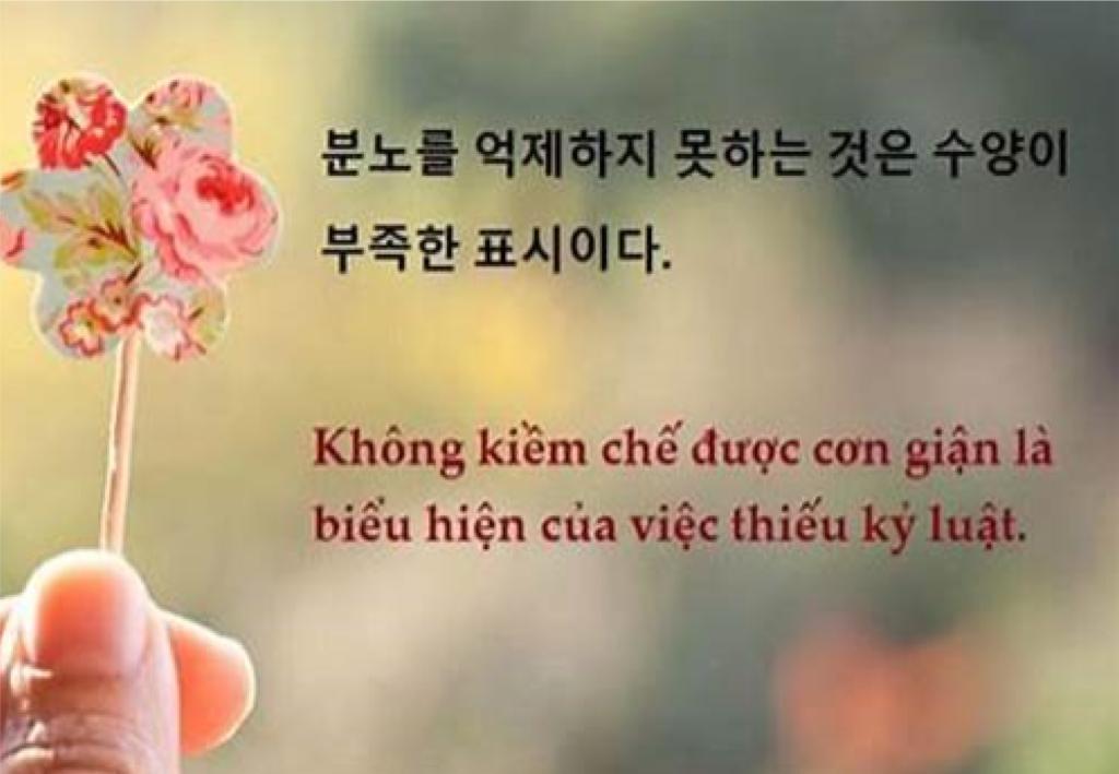 quote tieng han jpg
