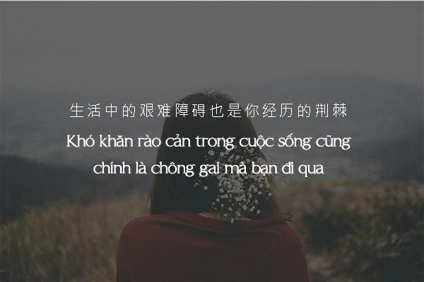 stt tiếng trung về cuộc sống