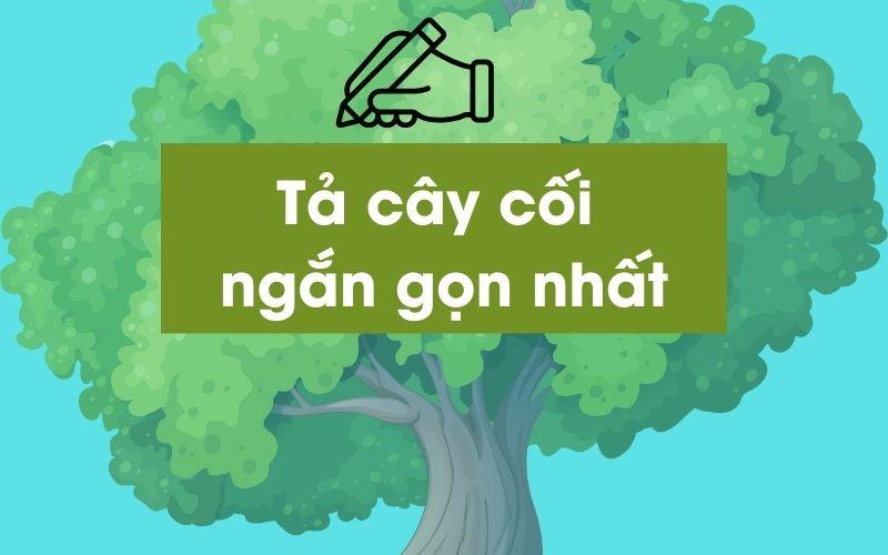 bài văn tả cây cối lớp 4,5 ngắn gọn