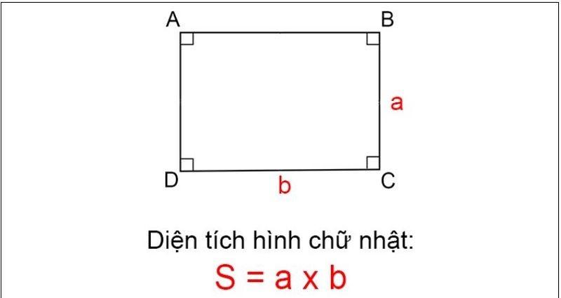 Các em cần phải ghi nhớ rõ công thức tính diện tích hình chữ nhật. (Ảnh: Sưu tầm internet)