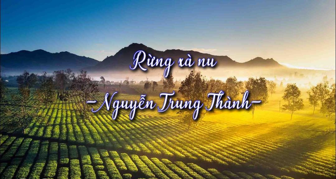 tom tat rung xa nu jpg