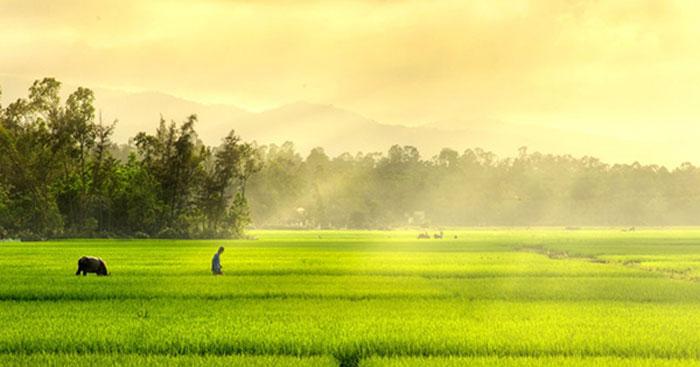 Bài văn tả về đất nước Việt Nam mẫu 1