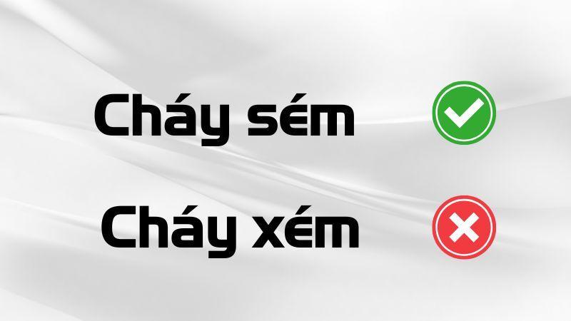 Cháy xém hay cháy sém