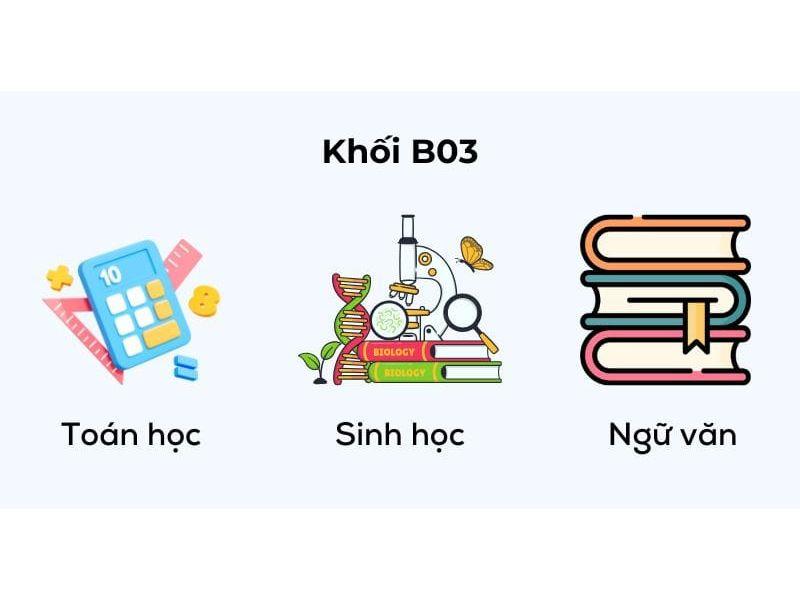 b03 gom nhung mon nao 1 jpg
