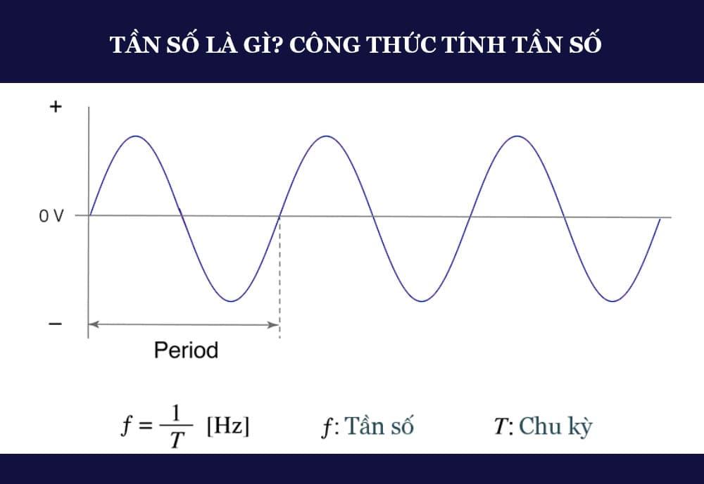 tan so la gi-1