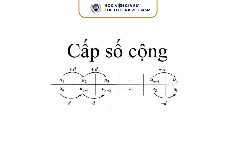 Công Sai d Là Gì?