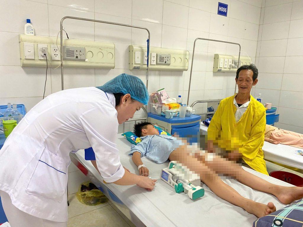 anh con meo cam hoa 1 jpg