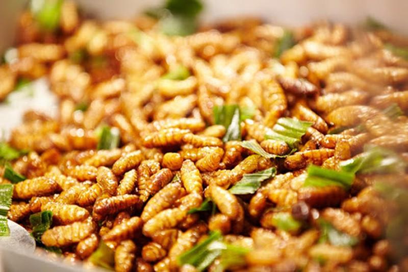 Việc sử dụng thức ăn có nguồn gốc từ côn trùng, ấu trùng đang ngày càng phổ biến