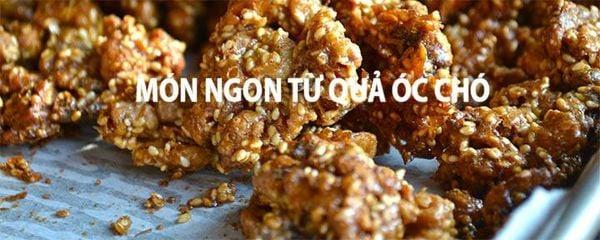 mon-ngon-tu-hat-oc-cho