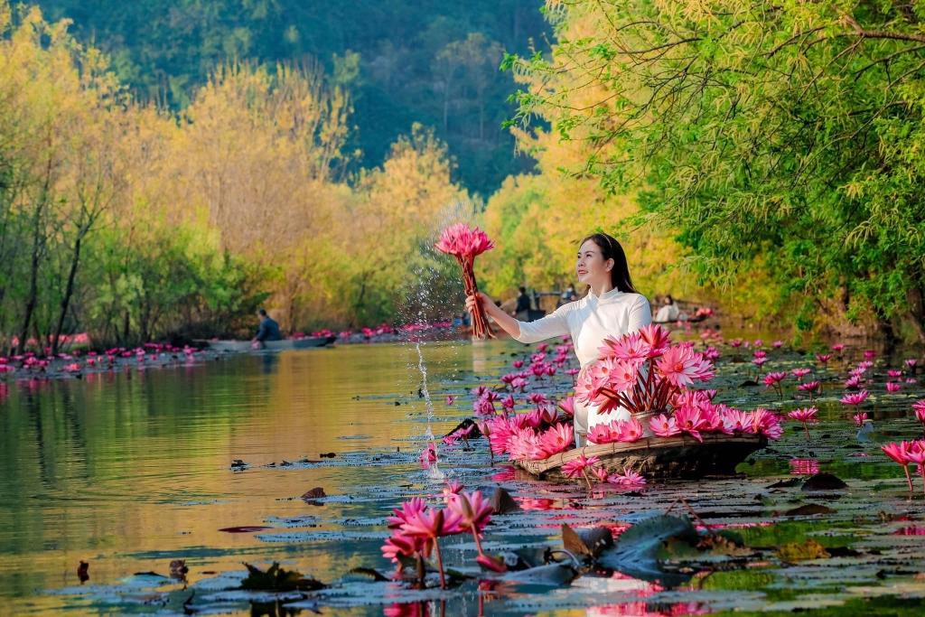 Tour chụp ảnh hoa súng chùa Hương 1 ngày - Thái An Travel 1