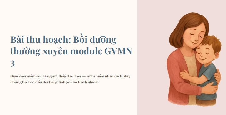 module gvmn 3 1 jpg
