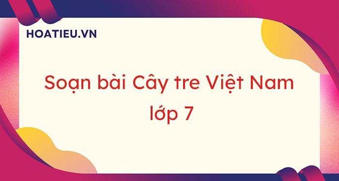 Đọc hiểu văn bản Cây tre Việt Nam lớp 7 Cánh Diều