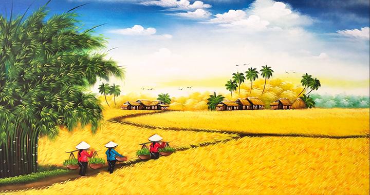 H1. Cánh đồng lúa