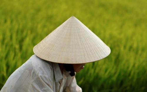 Thuyết minh về cái nón lá hay nhất