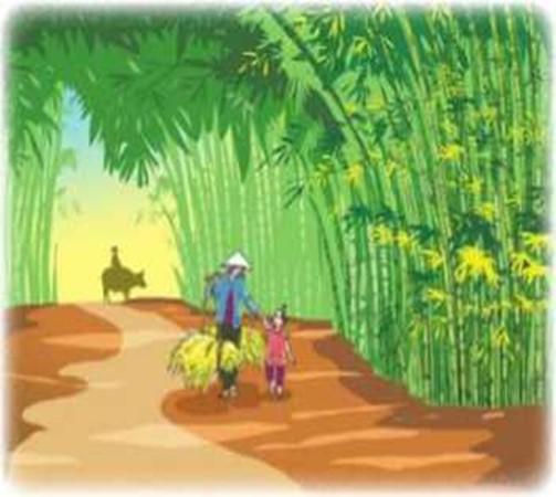 cay-tre-viet-nam