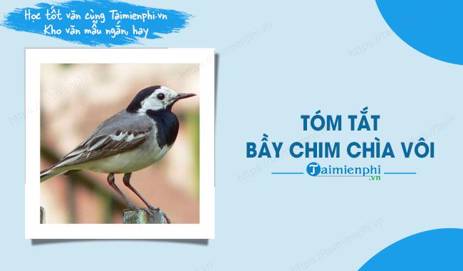 tom tat bay chim chia voi